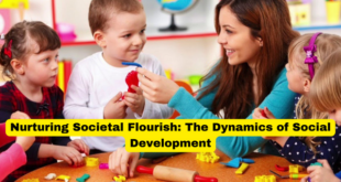 Nurturing Societal Flourish The Dynamics of Social Development